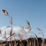 Rainer Szálloda Pörtschach am Wörthersee